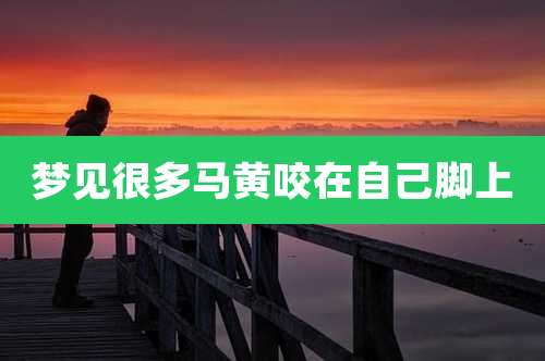 梦见很多马黄咬在自己脚上