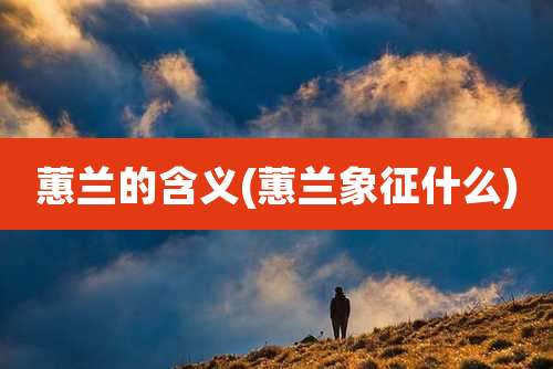 蕙兰的含义(蕙兰象征什么)