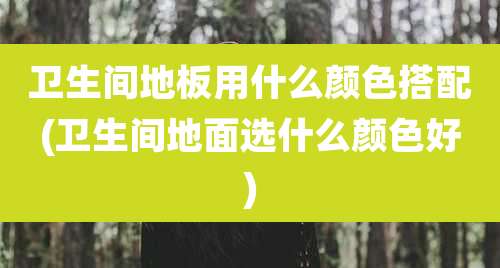 卫生间地板用什么颜色搭配(卫生间地面选什么颜色好)