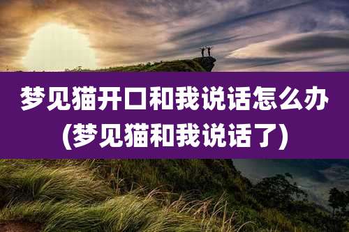 梦见猫开口和我说话怎么办(梦见猫和我说话了)