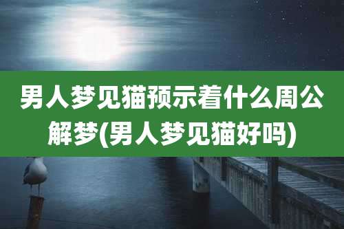 男人梦见猫预示着什么周公解梦(男人梦见猫好吗)