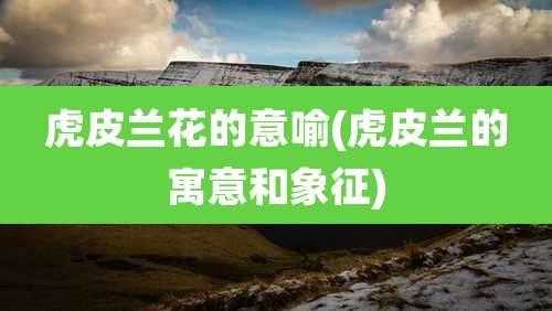 虎皮兰花的意喻(虎皮兰的寓意和象征)