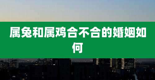 属兔和属鸡合不合的婚姻如何