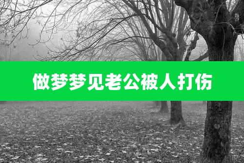 做梦梦见老公被人打伤