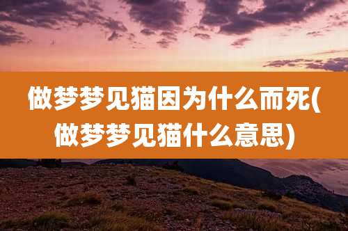 做梦梦见猫因为什么而死(做梦梦见猫什么意思)