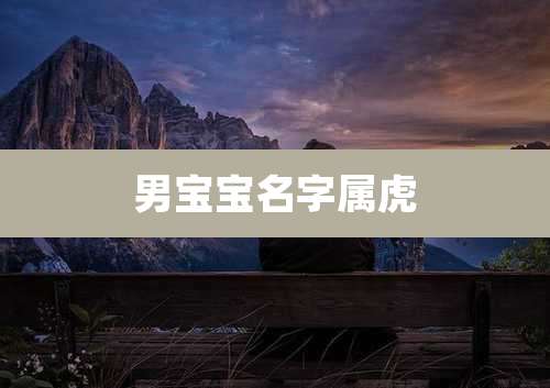 男宝宝名字属虎