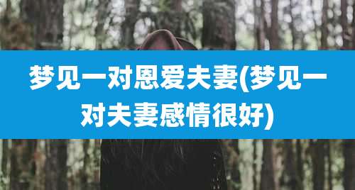 梦见一对恩爱夫妻(梦见一对夫妻感情很好)