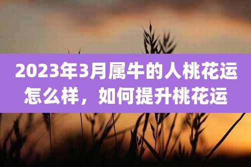 2023年3月属牛的人桃花运怎么样,如何提升桃花运