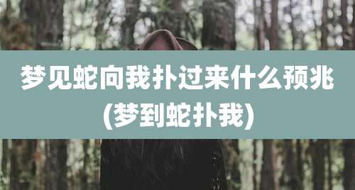 梦见蛇向我扑过来什么预兆(梦到蛇扑我)