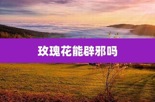 玫瑰花能辟邪吗