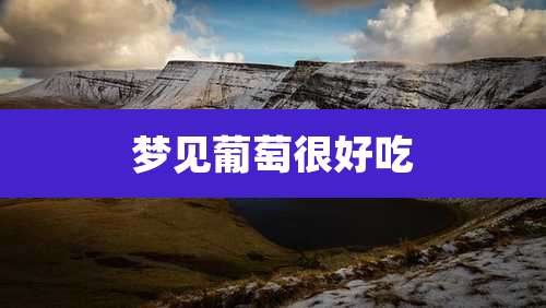 梦见葡萄很好吃