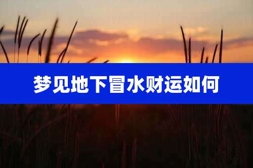 梦见地下冒水财运如何