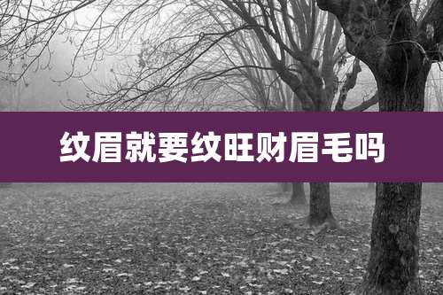 纹眉就要纹旺财眉毛吗