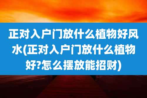正对入户门放什么植物好风水(正对入户门放什么植物好?怎么摆放能招财)