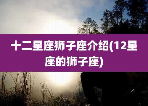 十二星座狮子座介绍(12星座的狮子座)