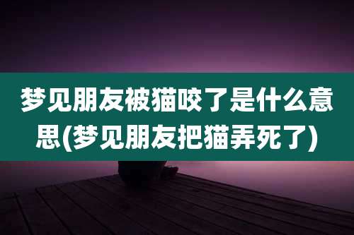 梦见朋友被猫咬了是什么意思(梦见朋友把猫弄死了)