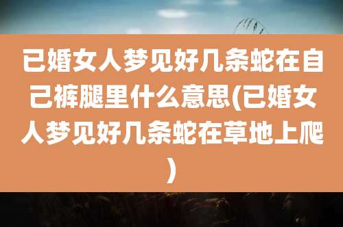 已婚女人梦见好几条蛇在自己裤腿里什么意思(已婚女人梦见好几条蛇在草地上爬)