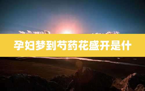 孕妇梦到芍药花盛开是什