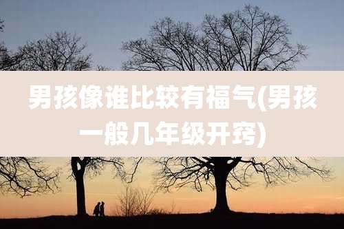 男孩像谁比较有福气(男孩一般几年级开窍)
