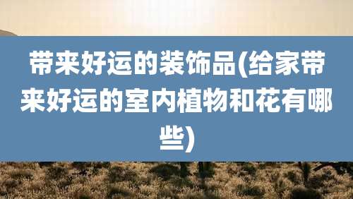 带来好运的装饰品(给家带来好运的室内植物和花有哪些)