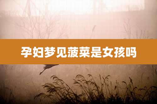 孕妇梦见菠菜是女孩吗