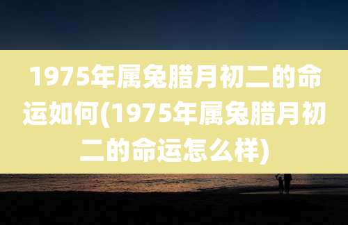 1975年属兔腊月初二的命运如何(1975年属兔腊月初二的命运怎么样)