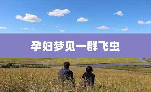 孕妇梦见一群飞虫