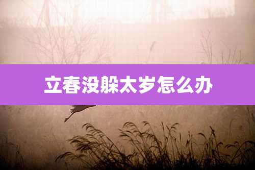 立春没躲太岁怎么办
