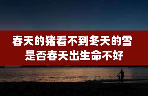 春天的猪看不到冬天的雪 是否春天出生命不好