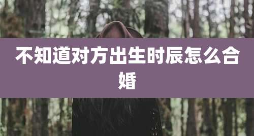 不知道对方出生时辰怎么合婚