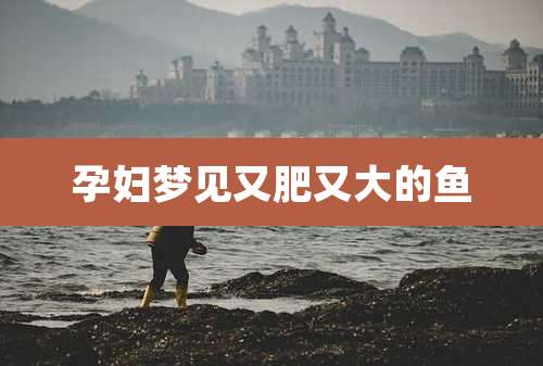 孕妇梦见又肥又大的鱼