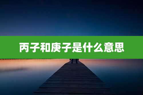 丙子和庚子是什么意思