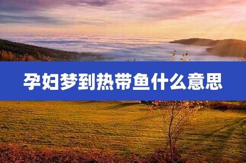 孕妇梦到热带鱼什么意思
