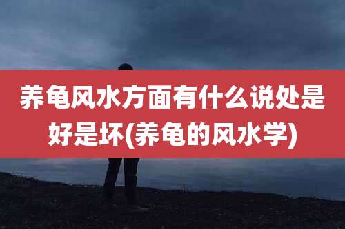 养龟风水方面有什么说处是好是坏(养龟的风水学)