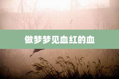 做梦梦见血红的血