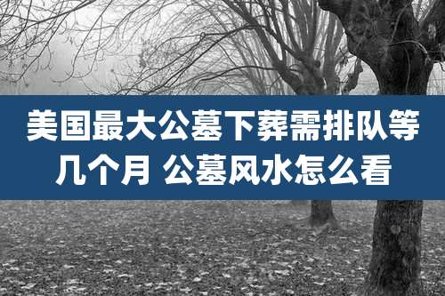 美国最大公墓下葬需排队等几个月 公墓风水怎么看