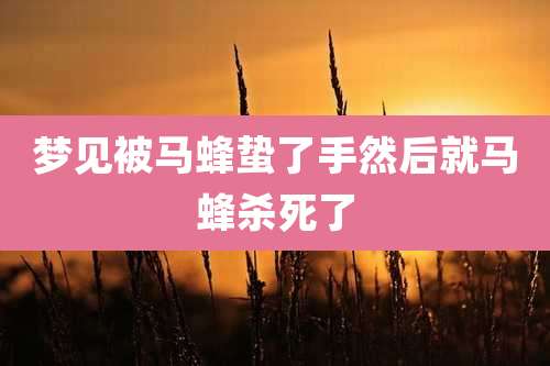 梦见被马蜂蛰了手然后就马蜂杀死了