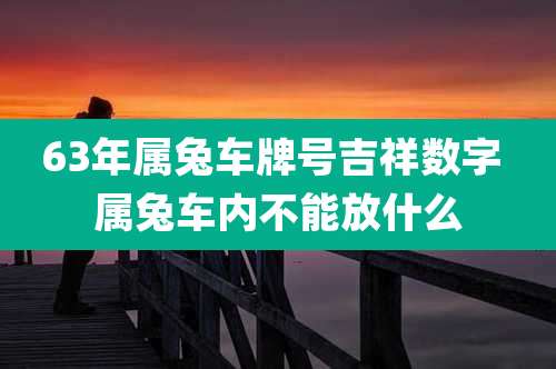 63年属兔车牌号吉祥数字 属兔车内不能放什么