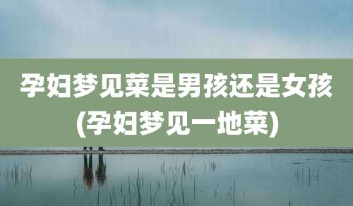 孕妇梦见菜是男孩还是女孩(孕妇梦见一地菜)