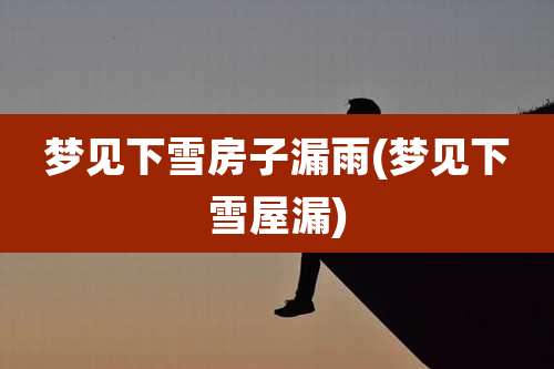梦见下雪房子漏雨(梦见下雪屋漏)