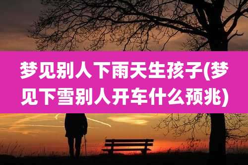 梦见别人下雨天生孩子(梦见下雪别人开车什么预兆)