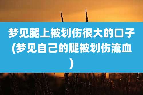 梦见腿上被划伤很大的口子(梦见自己的腿被划伤流血)