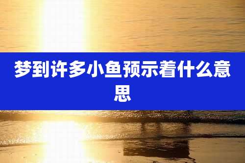 梦到许多小鱼预示着什么意思