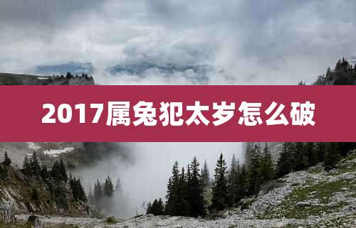 2017属兔犯太岁怎么破
