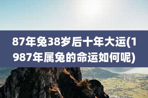 87年兔38岁后十年大运(1987年属兔的命运如何呢)