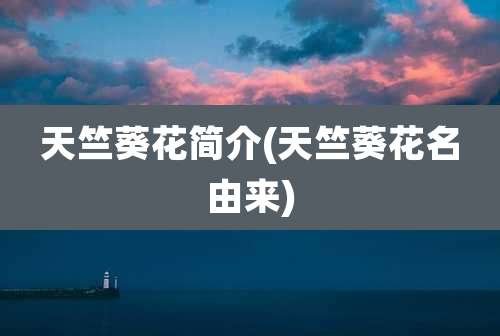 天竺葵花简介(天竺葵花名由来)