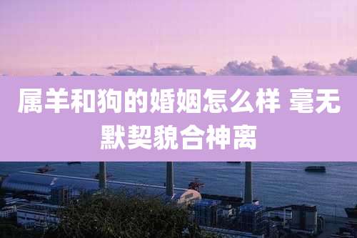 属羊和狗的婚姻怎么样 毫无默契貌合神离