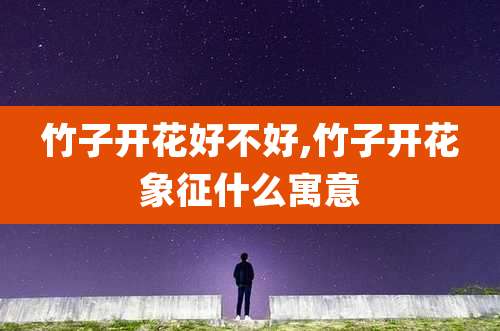 竹子开花好不好,竹子开花象征什么寓意