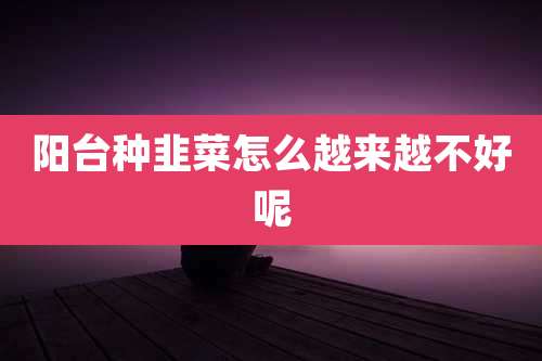阳台种韭菜怎么越来越不好呢
