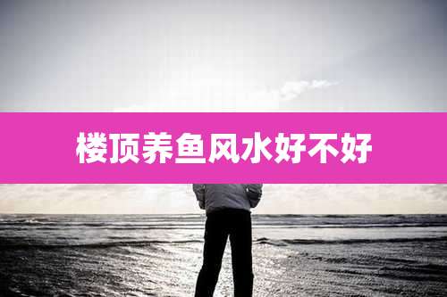 楼顶养鱼风水好不好